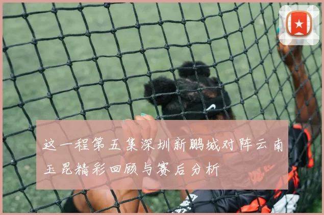 这一程第五集深圳新鹏城对阵云南玉昆精彩回顾与赛后分析