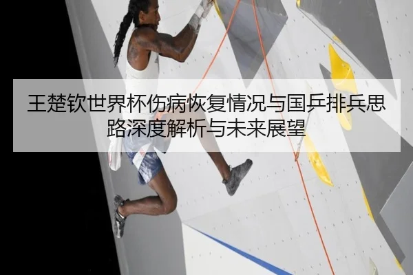 王楚钦世界杯伤病恢复情况与国乒排兵思路深度解析与未来展望